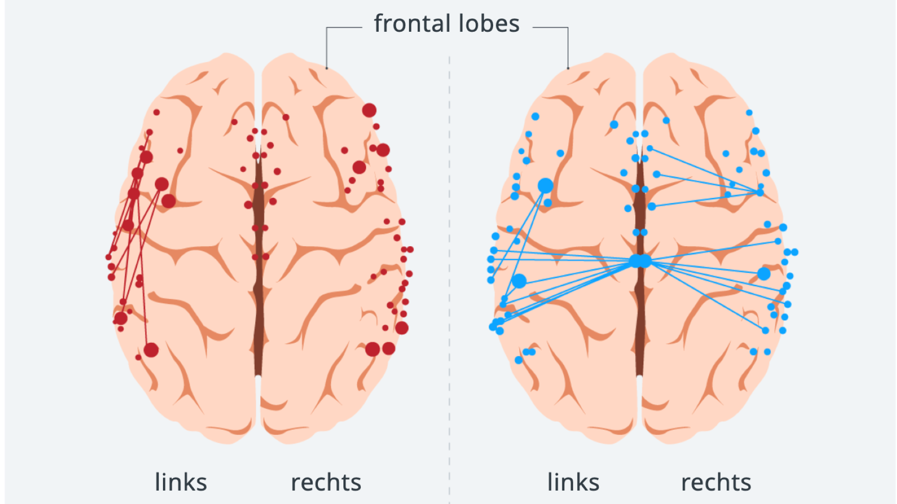 how-the-brain-processes-german-and-arabic