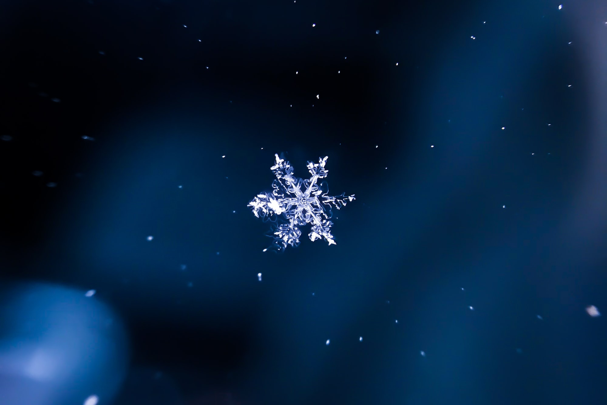 why-did-nix-adopt-flakes?