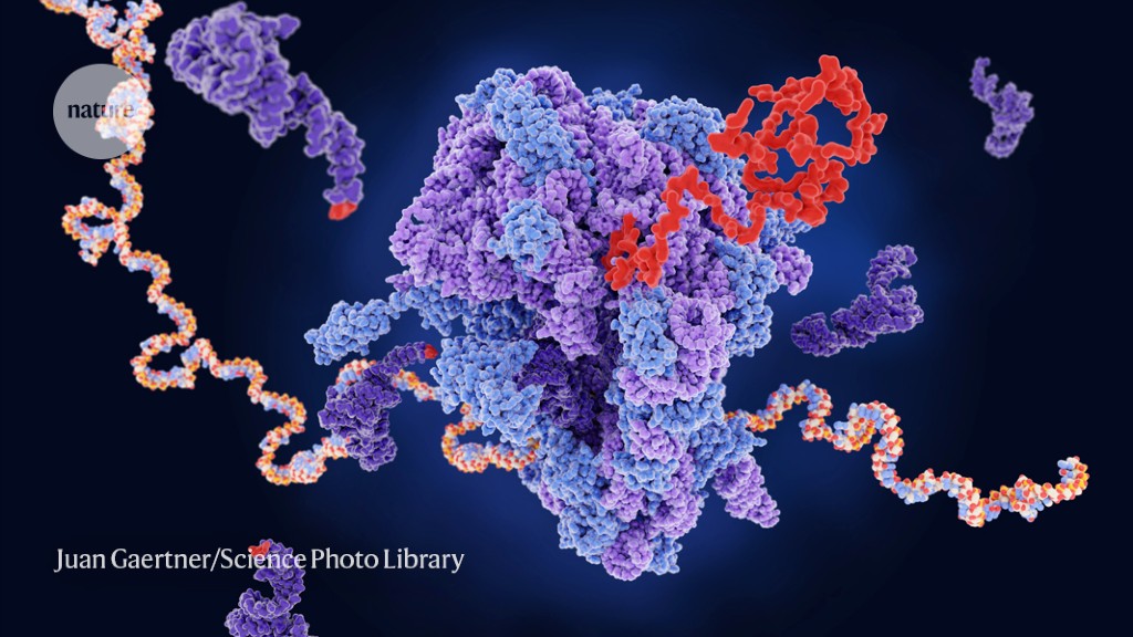 how-scientists-are-hacking-the-genetic-code-to-give-proteins-new-powers