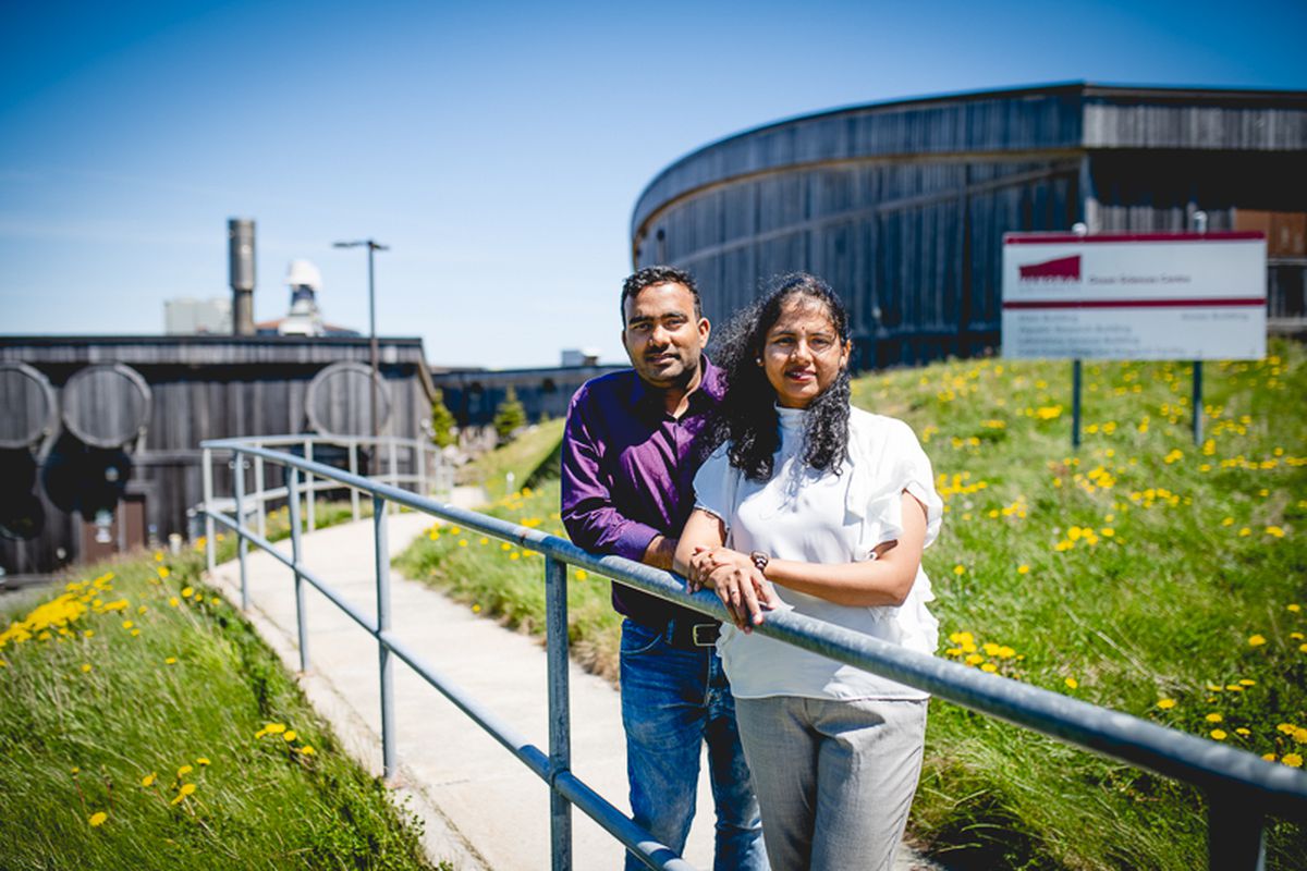 women-and-immigrants-poised-to-lead-newfoundland-and-labrador’s-tech-industry
