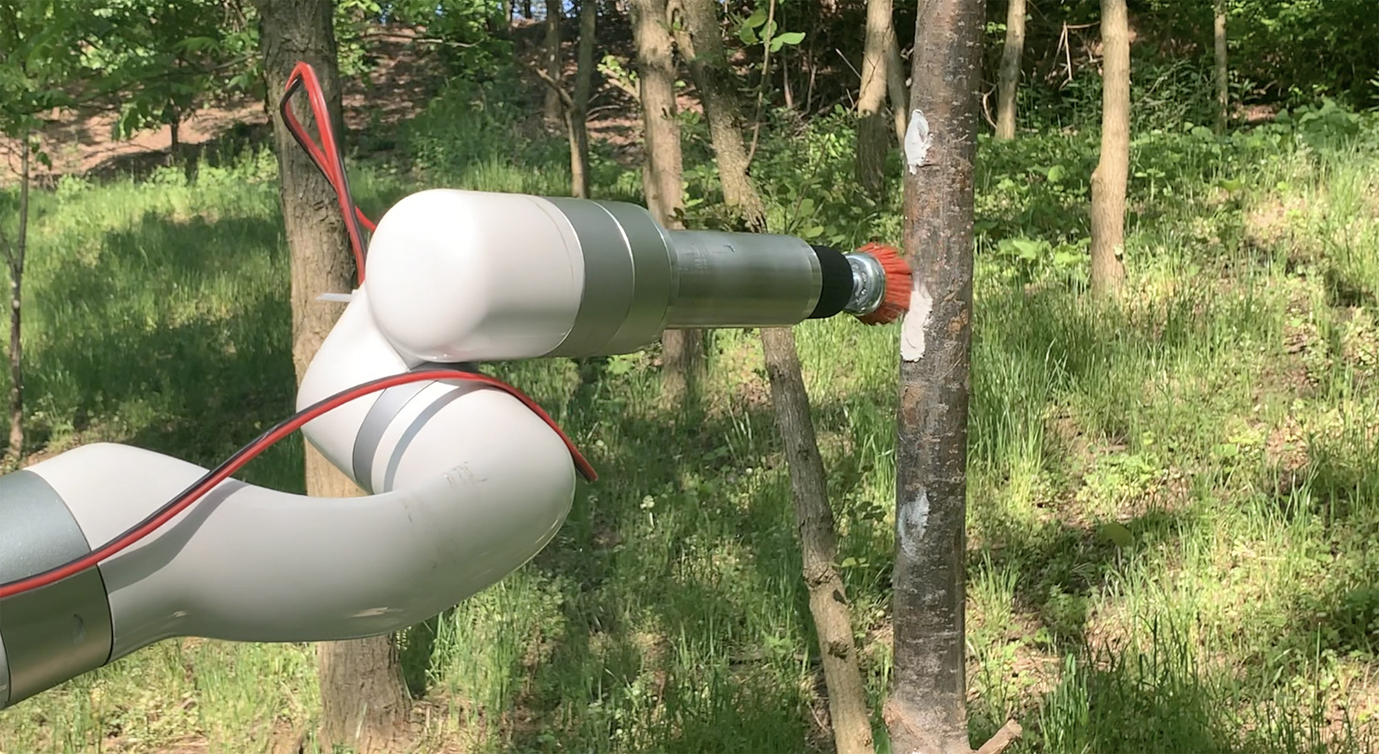 autonomous-robot-to-stave-off-spotted-lanternflies