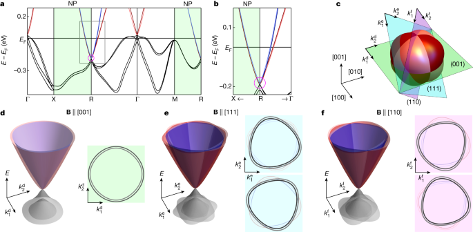 quantum-oscillations-of-the-quasiparticle-lifetime-in-a-metal