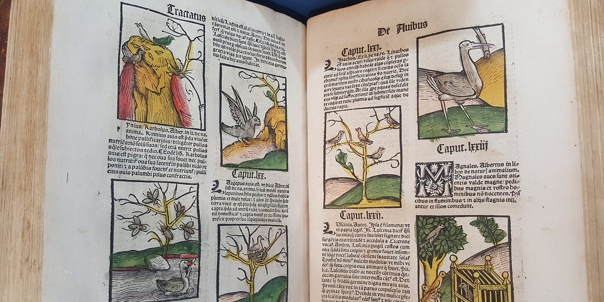 why-early-modern-books-are-so-beautiful