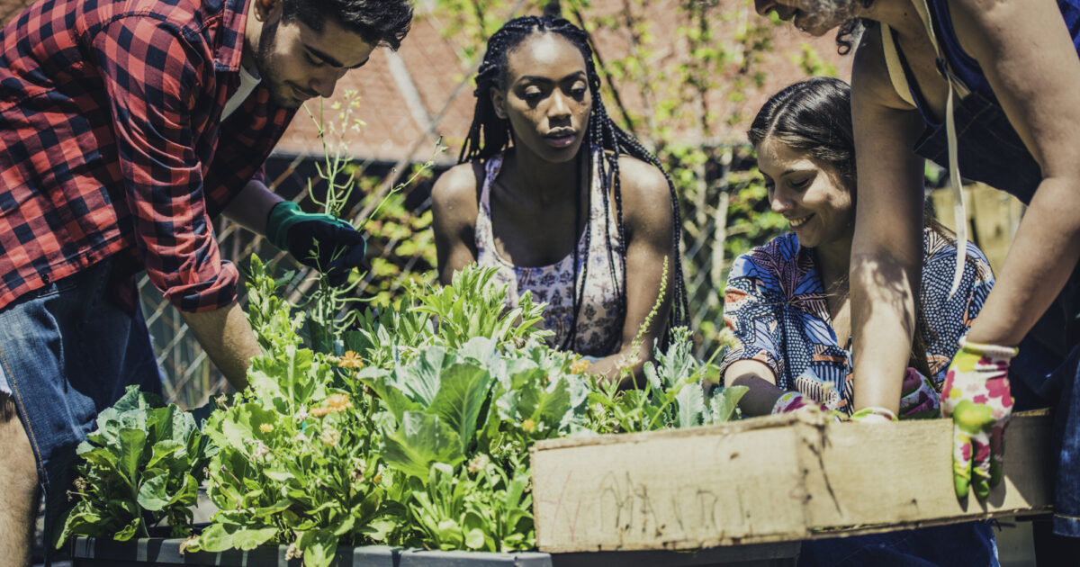 bezos-earth-fund-grants-$400m-for-greening-underserved-urban-us.-communities