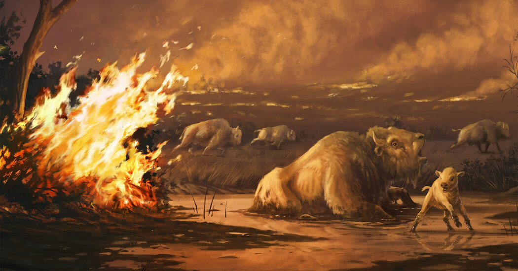 ancient-fires-drove-large-mammals-extinct,-study-suggests