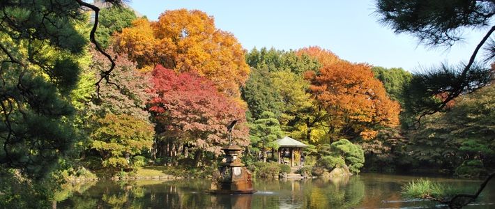 japan’s-72-microseasons-(2015)