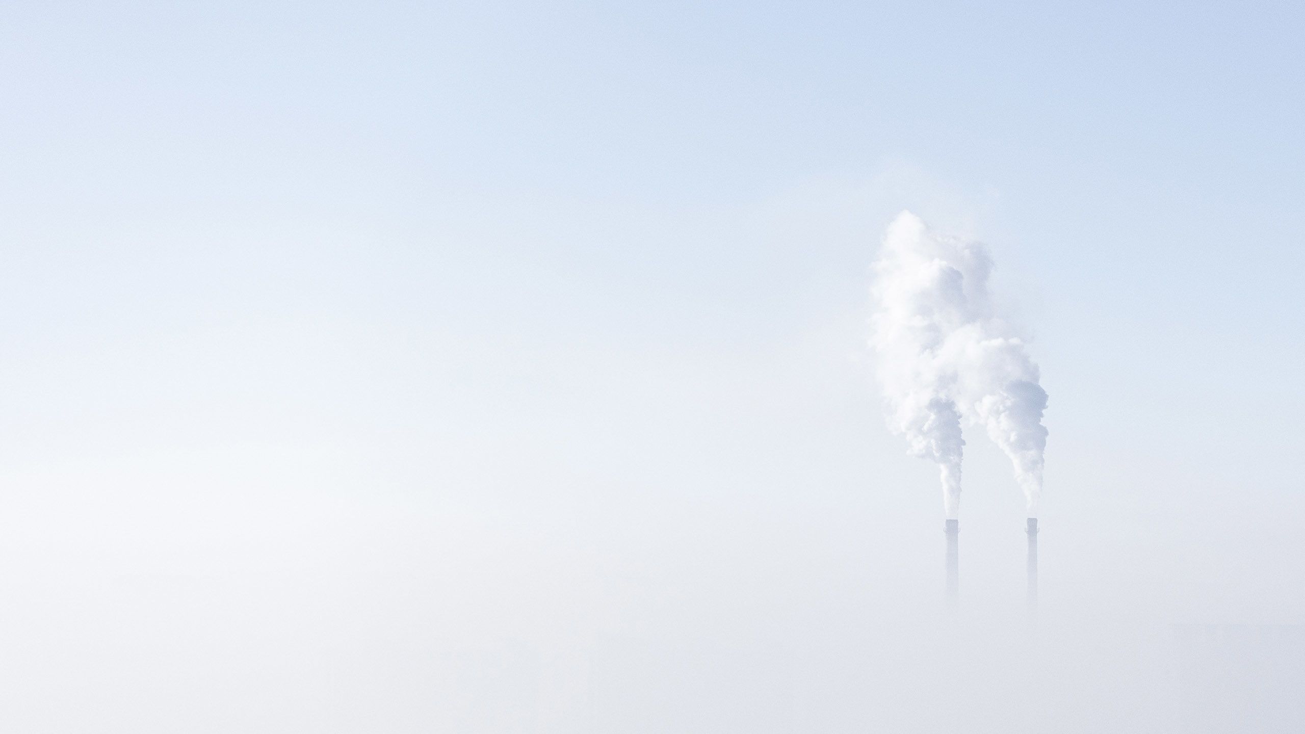 millions-of-carbon-credits-are-generated-by-overestimating-forest-preservation
