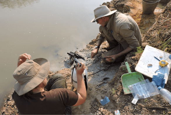 archaeologists-discover-oldest-wooden-structure