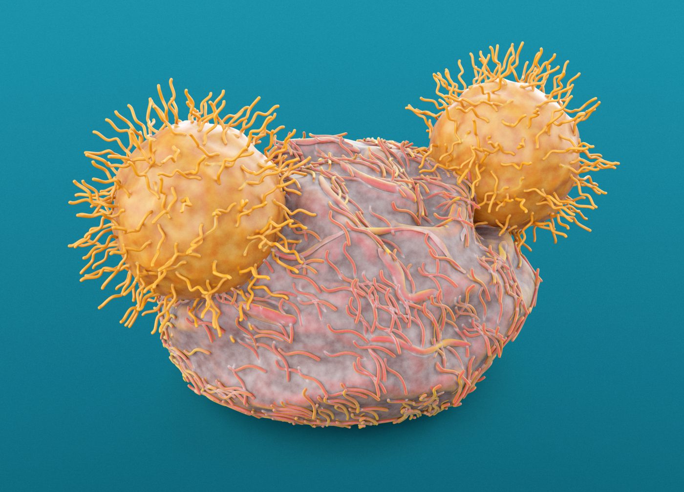 scientists-improve-anti-tumor-power-of-car-t-cells