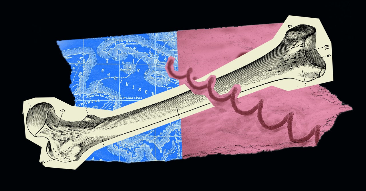 rewriting-the-history-of-syphilis