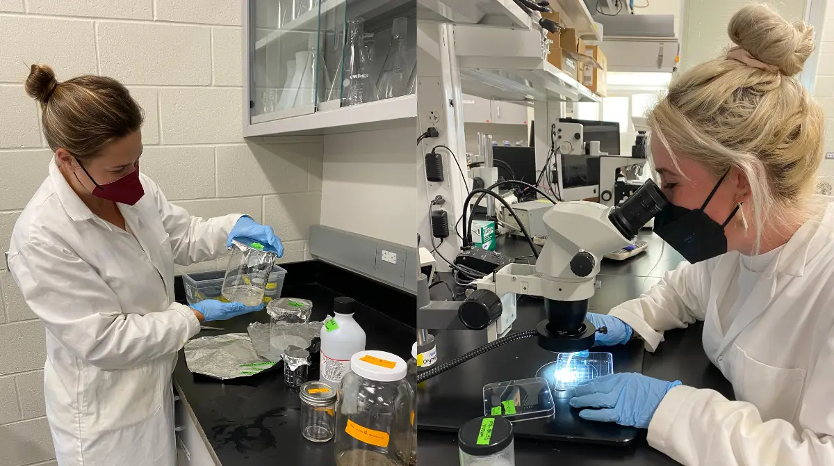 study-finds-microplastics-in-nearly-90%-of-proteins-sampled