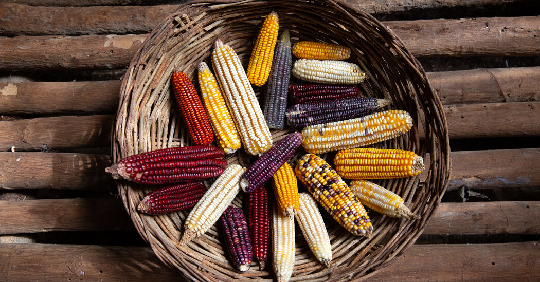 mexican-whiskey-is-on-the-rise,-powered-by-ancient-corn