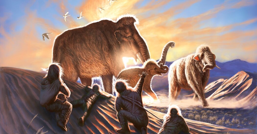 an-ancient-woolly-mammoth-left-a-diary-in-her-tusk