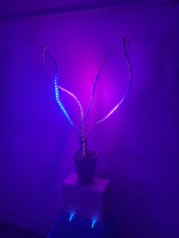 i-need-to-grow-away-from-these-roots