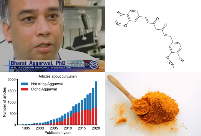 the-king-of-curcumin:-a-case-study-in-consequences-of-large-scale-research-fraud