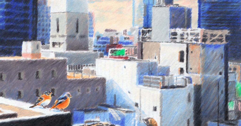 the-potent-pollution-of-noise