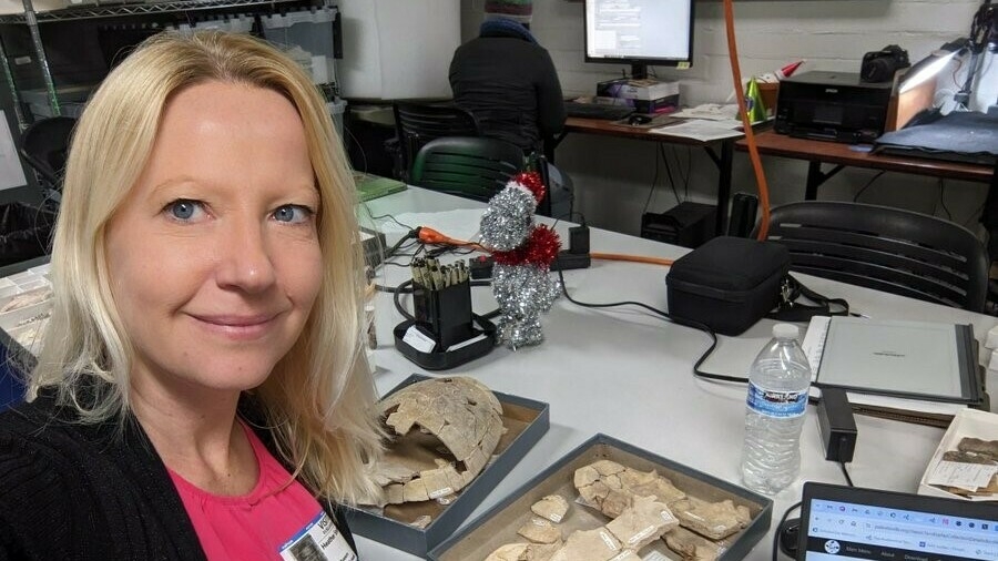 the-appendix-is-not,-in-fact,-useless