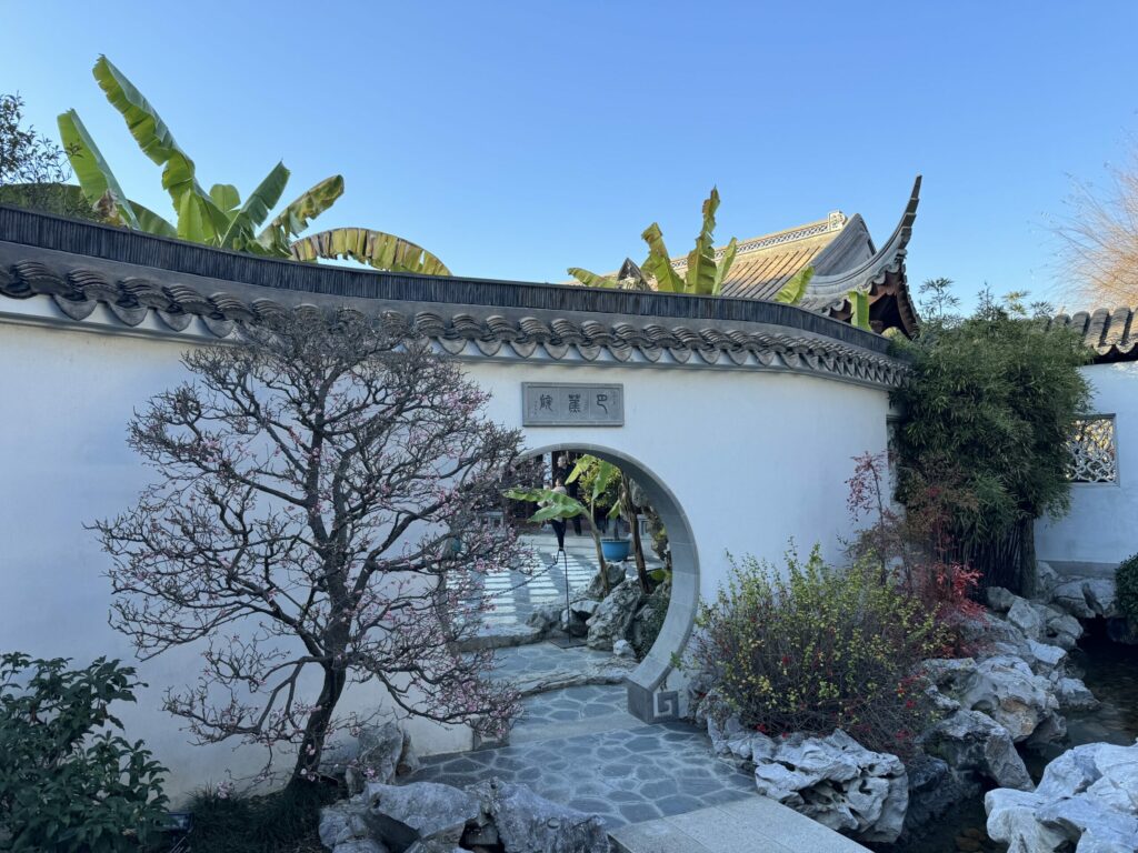 46%-of-americans-didn’t-read-a-book-in-2023