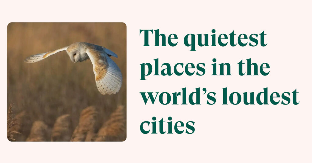 the-quietest-places-in-the-loudest-cities