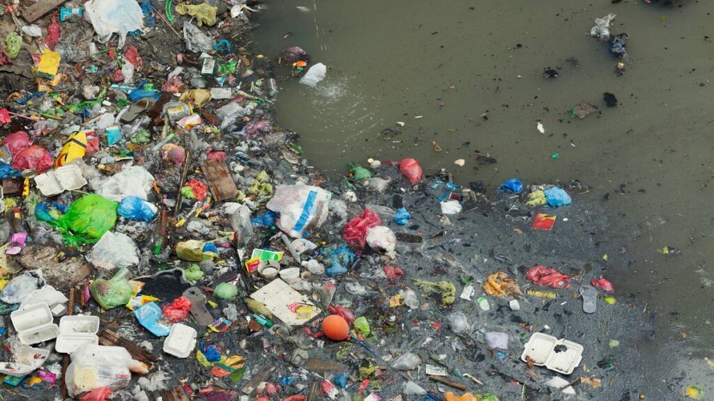 plastic-industry-knew-recycling-was-a-farce-for-decades