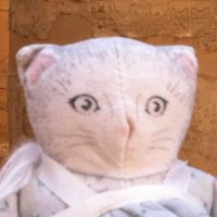 “rabbit-test”-unwins-the-hugo-award