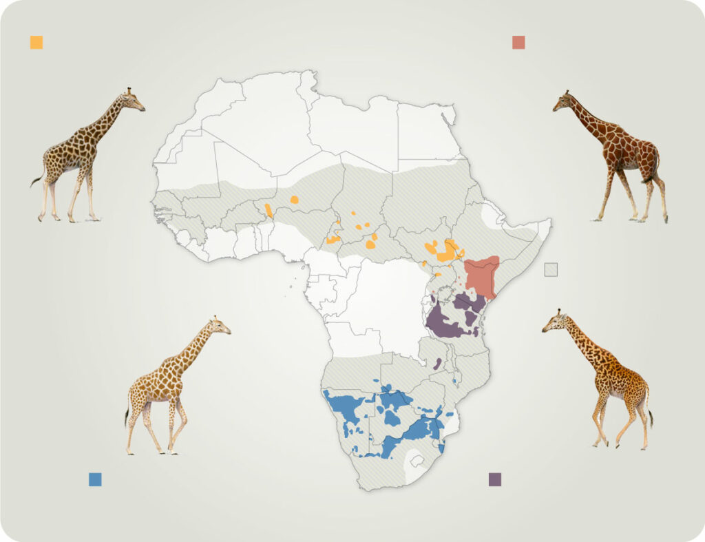what-is-a-species,-anyway?