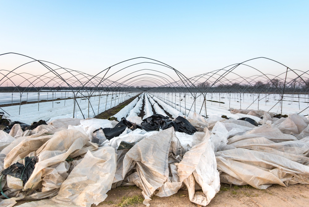 a-plastic-tsunami-is-taking-over-farms.-what-will-stop-plasticulture?