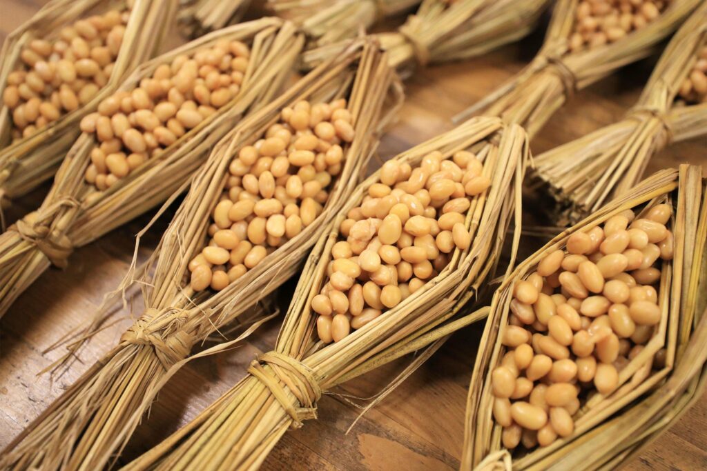 did-fermented-foods-fuel-brain-growth?