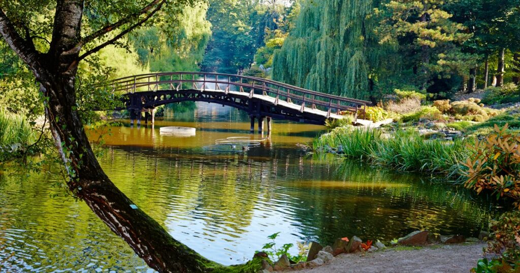 botanical-gardens-can-cool-city-air-by-an-average-of-5°c