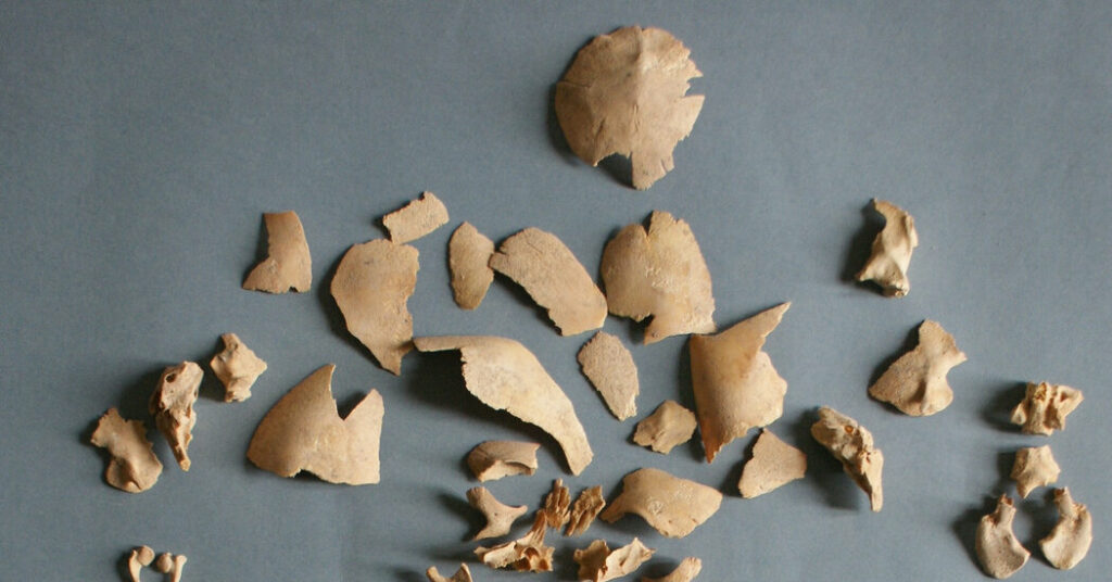 scientists-find-genetic-signature-of-down-syndrome-in-ancient-bones