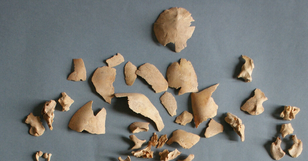 scientists-find-genetic-signature-of-down-syndrome-in-ancient-bones