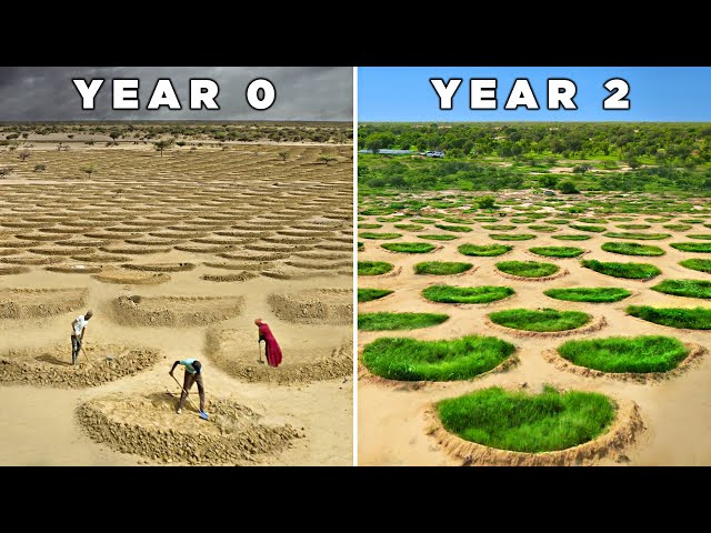 how-the-great-green-wall-is-holding-back-the-sahara-desert