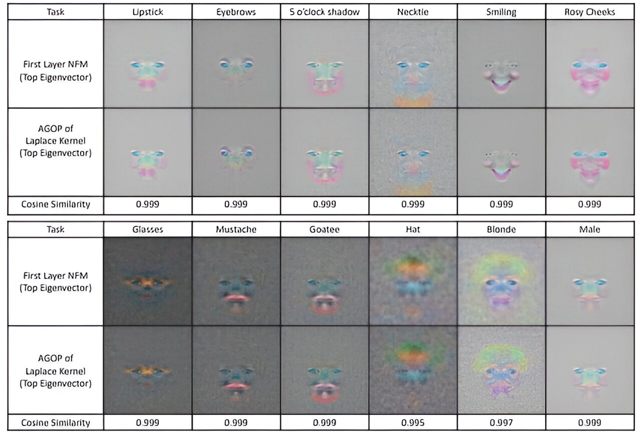 how-do-neural-networks-learn?