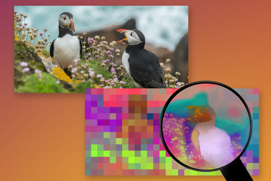 new-algorithm-unlocks-high-resolution-insights-for-computer-vision