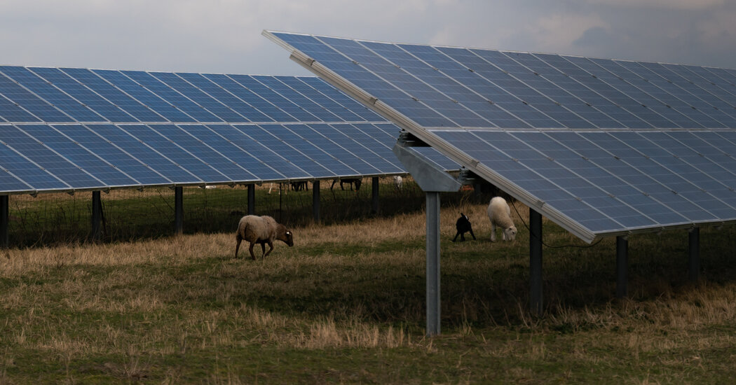 germany’s-solar-panel-industry,-once-a-leader,-is-getting-squeezed