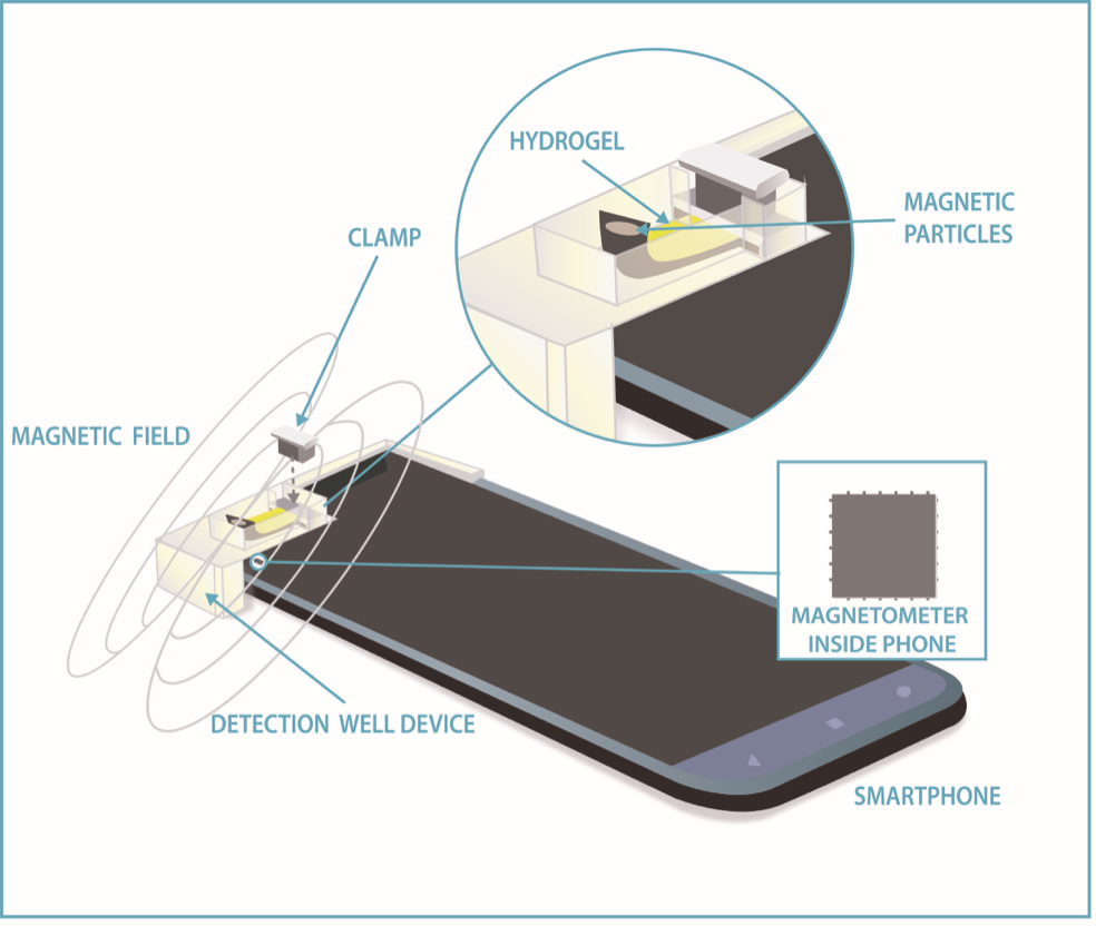 nist-researchers-use-cellphone-compass-to-measure-glucose