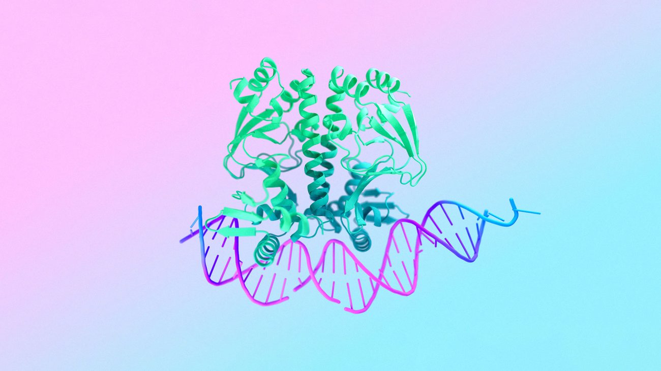 alphafold-3-predicts-the-structure-and-interactions-of-life’s-molecules