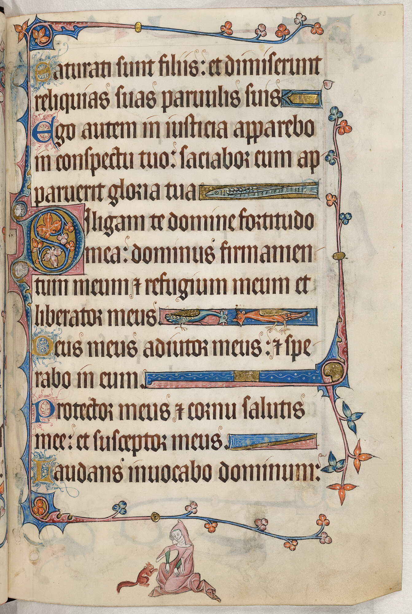 in-medieval-england,-leprosy-spread-btwn-red-squirrels/people,-genome-evidence