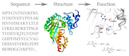 a-review-on-protein-languauge-models