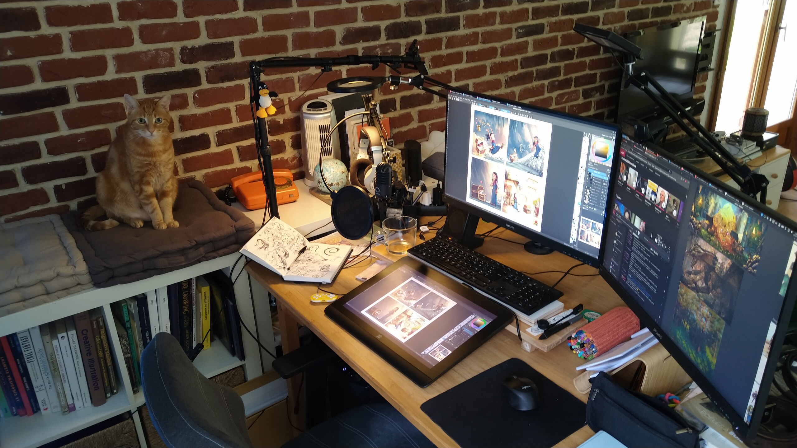 debian-kde:-right-linux-distribution-for-professional-digital-painting-in-2024
