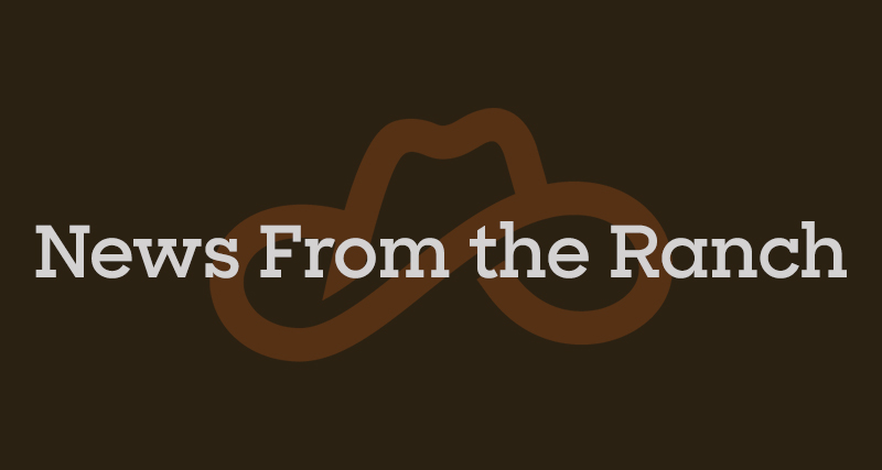 finding-new-pastures:-big-nerd-ranch’s-next-chapter