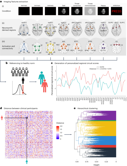 brain-circuit-scores-identify-clinically-distinct-biotypes-in-depression/anxiety