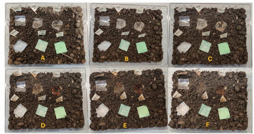 researchers-invent-100%-biodegradable-‘barley-plastic’