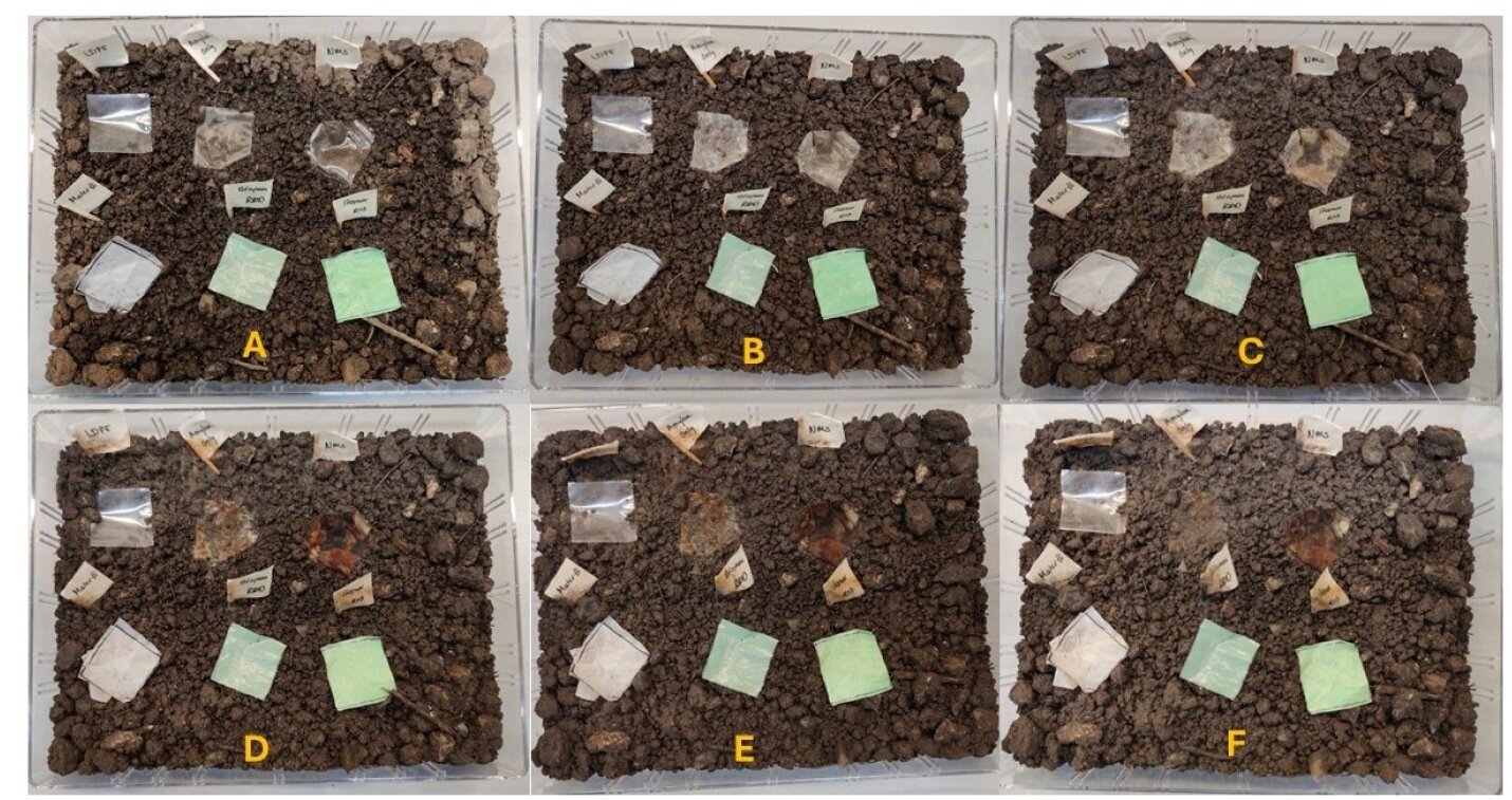 researchers-invent-100%-biodegradable-‘barley-plastic’