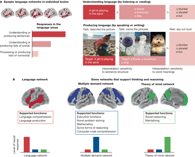 language-is-primarily-a-tool-for-communication-rather-than-thought