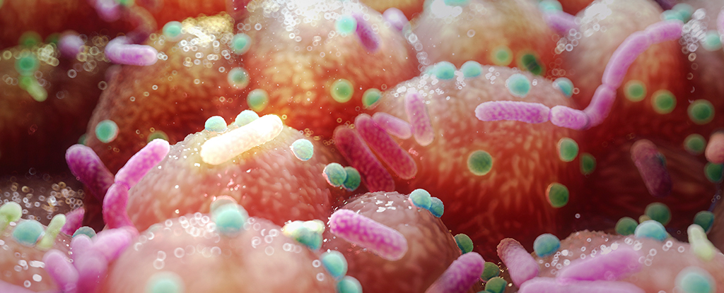 parkinson’s-link-to-gut-bacteria-suggests-unexpected,-simple-treatment