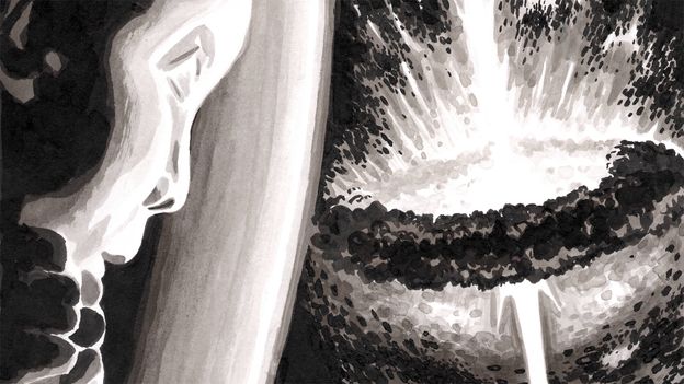 einstein-and-his-peers-were-‘irrationally-resistant’-to-black-holes