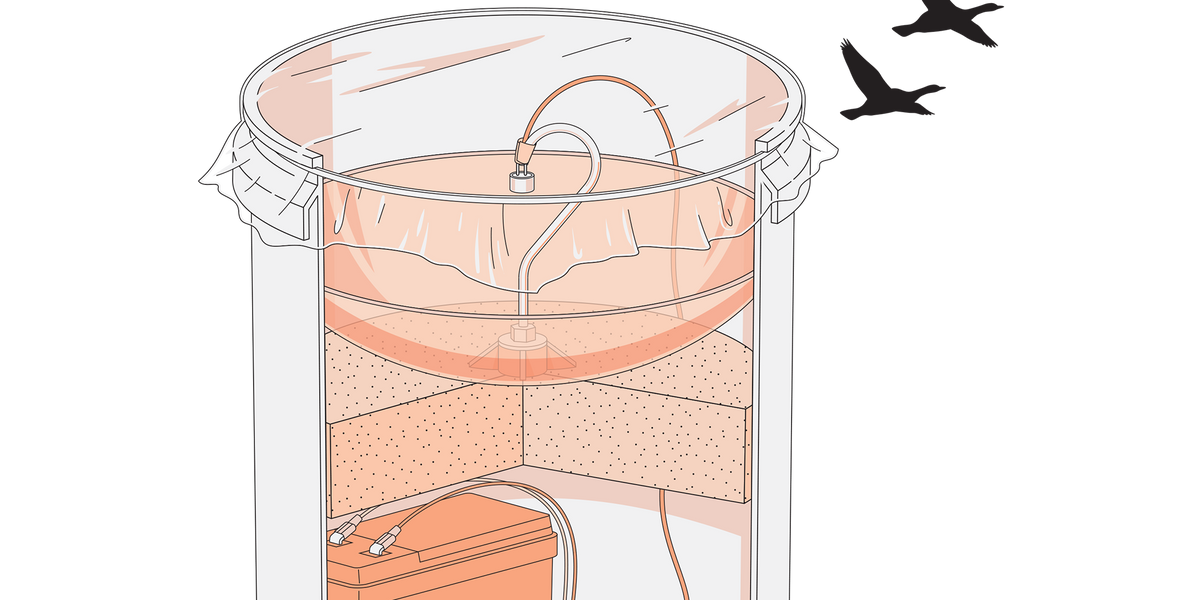 detect-migrating-birds-with-a-plastic-dish-and-a-cheap-microphone