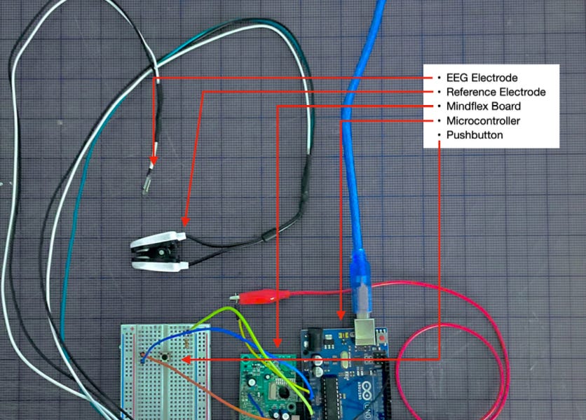 building-an-eeg-with-a-children’s-toy