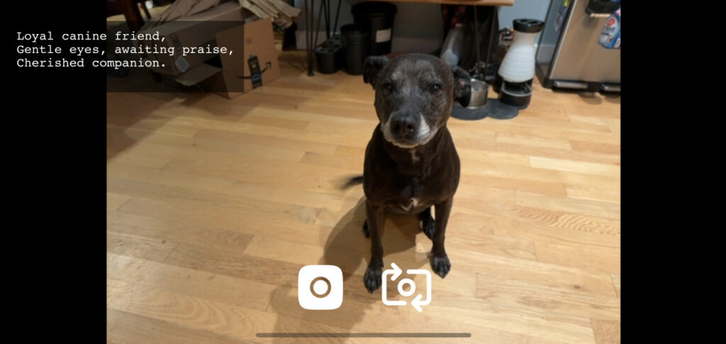 claude’s-api-now-supports-cors-requests,-enabling-client-side-applications